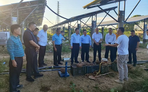 52de9a116cb036eb2ced58b6dd7c0e8c.jpg d816bda8-8694-4e0c-9c07-80e18bbb92c7(1).jpg